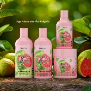 KIT GOIABA SUPER FOODS